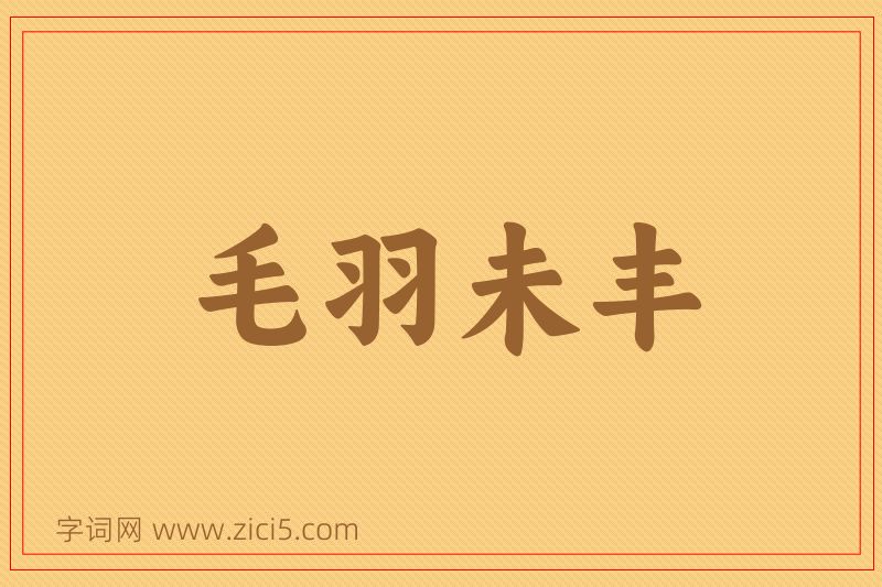 成语毛羽未丰图片