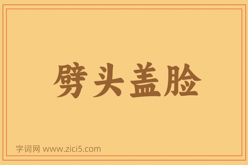 成语劈头盖脸图片