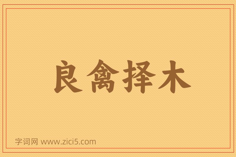 成语良禽择木图片