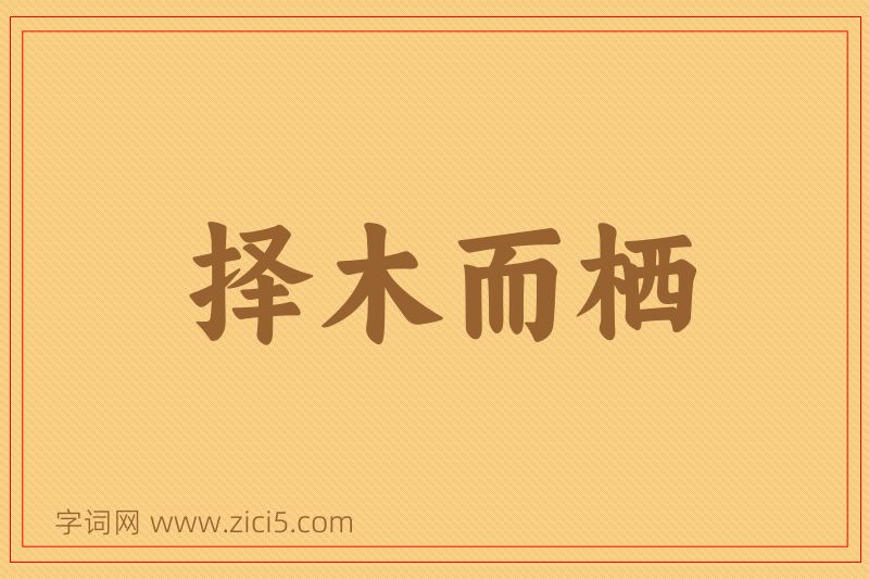 成语择木而栖图片