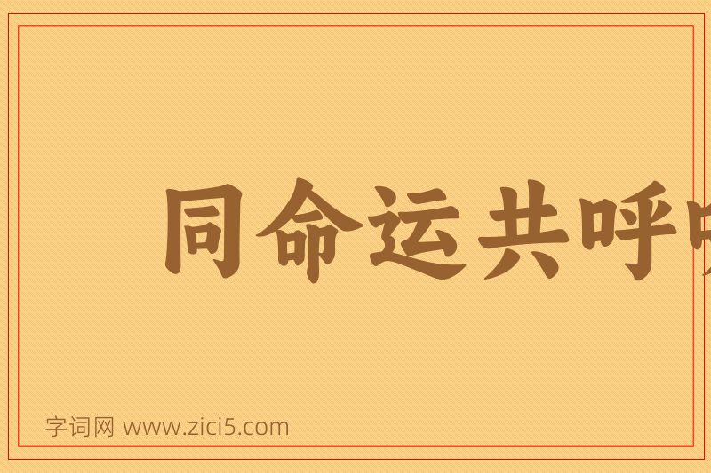 成语同命运共呼吸图片