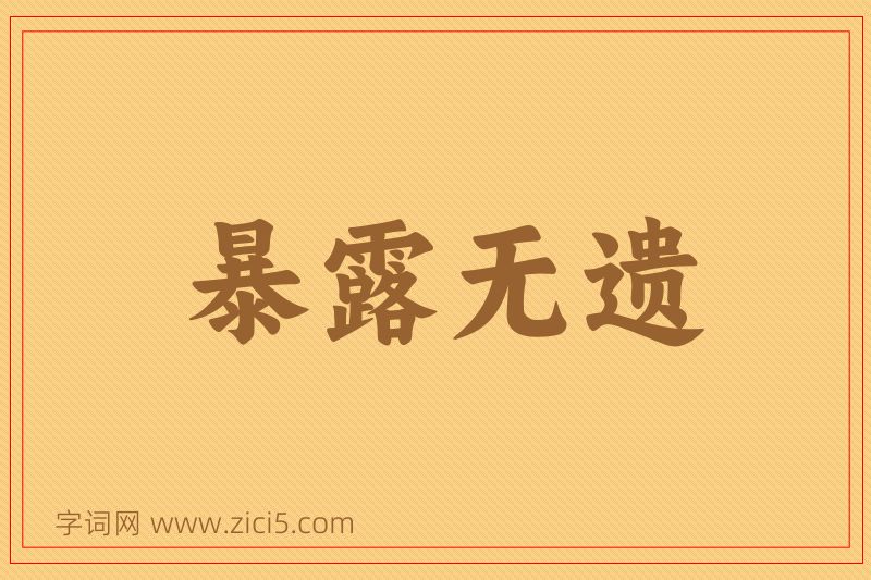 成语暴露无遗图片