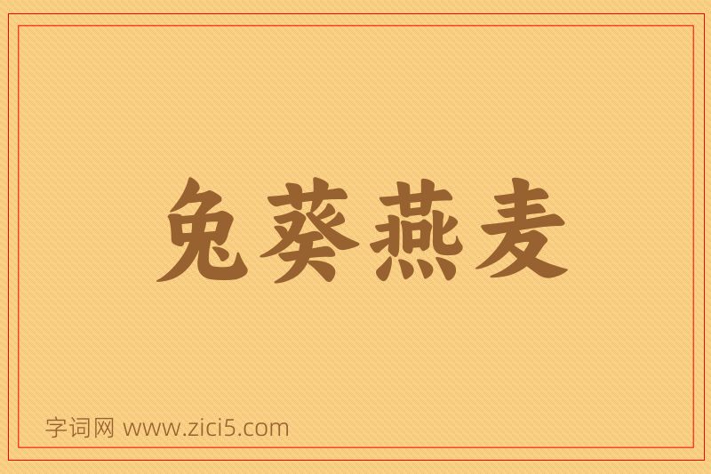 成语兔葵燕麦图片